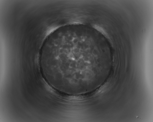 X0000086921404200704161353