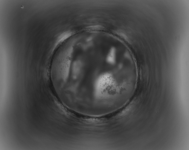 X0000086921405200704161353