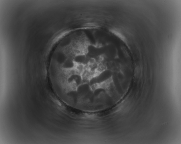 X0000086921407200704161353