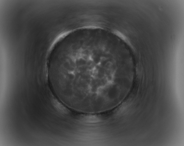 X0000086921408200704161353