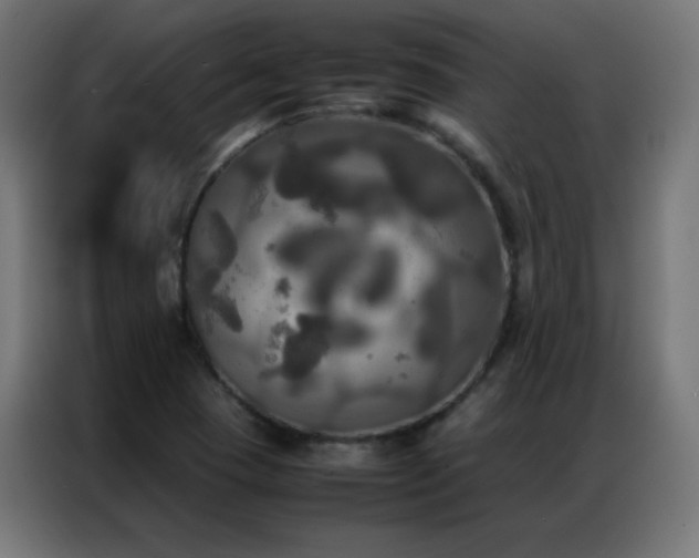 X0000086921409200704161353