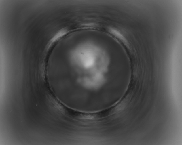 X0000086921411200704161353