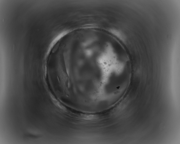 X0000086921413200704161353