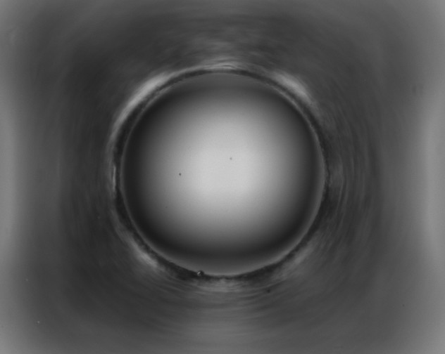 X0000086921414200704161353