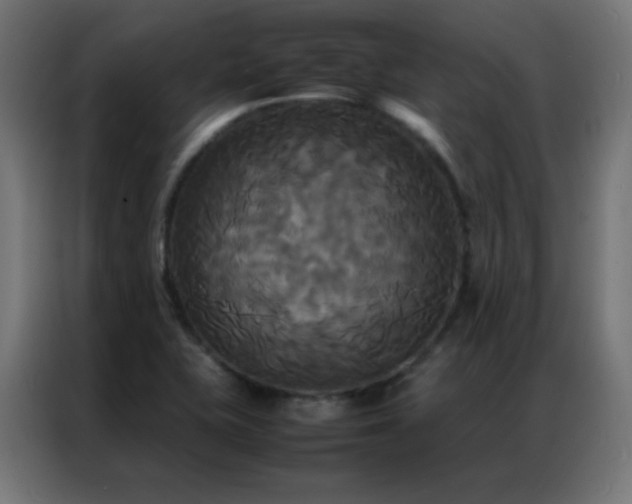 X0000086921415200704161353