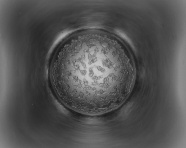 X0000086921416200704161353