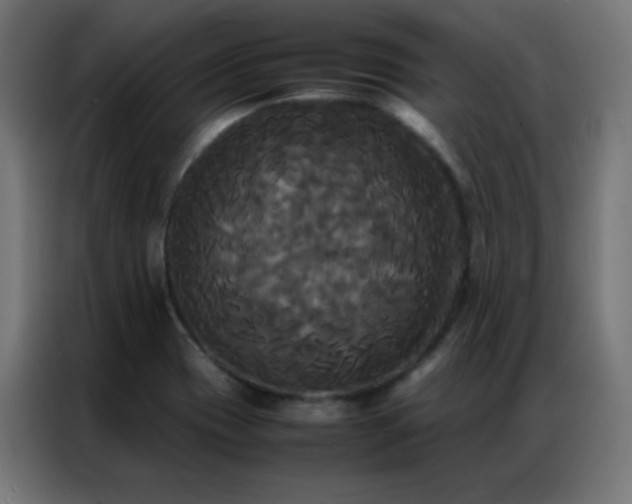 X0000086921417200704161353