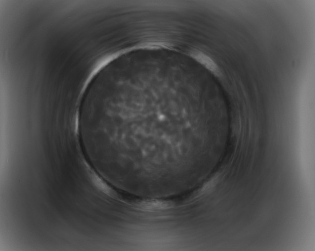 X0000086921420200704161353