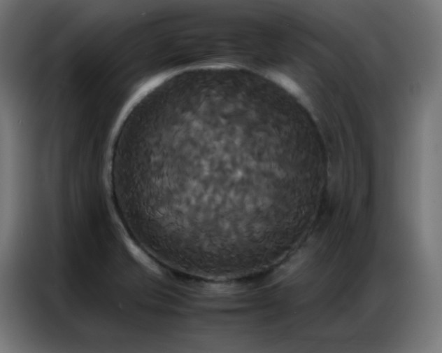 X0000086921421200704161353