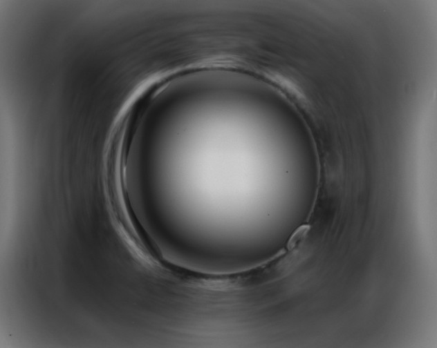 X0000086921422200704161353