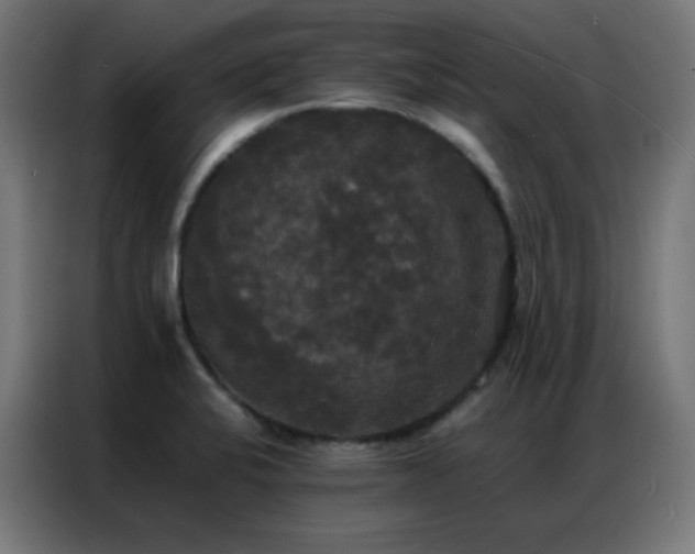 X0000086921424200704161353