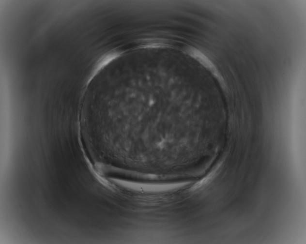 X0000086921425200704161353