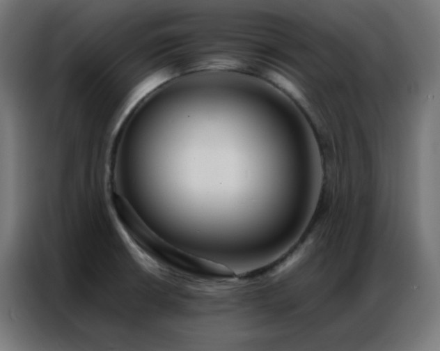 X0000086921426200704161353