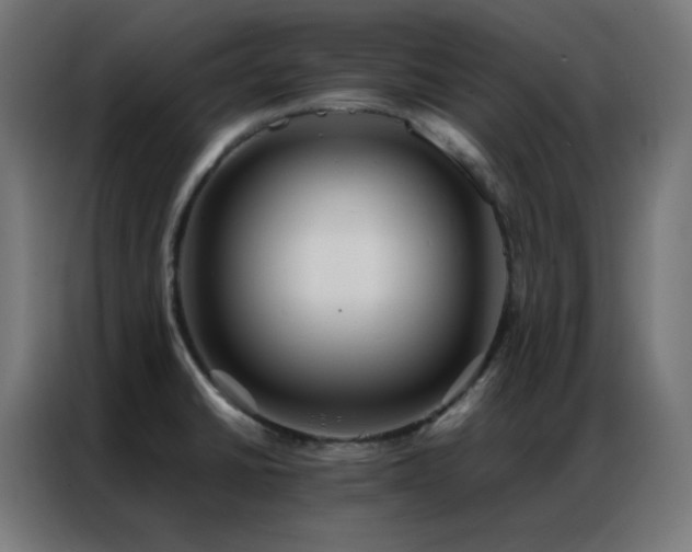 X0000086921430200704161353