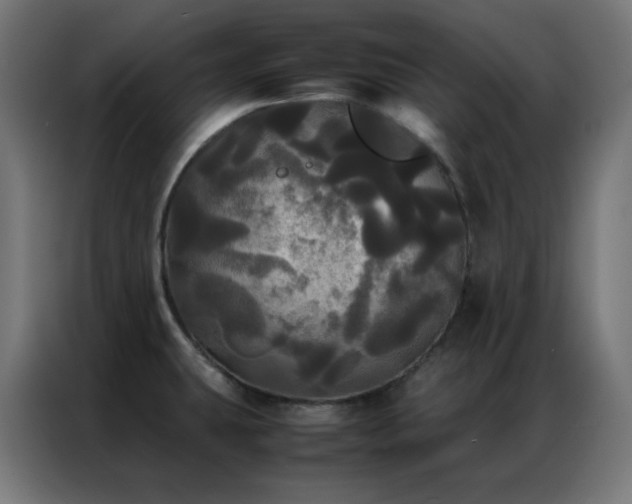 X0000086921431200704161353