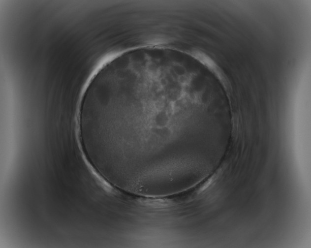 X0000086921432200704161353
