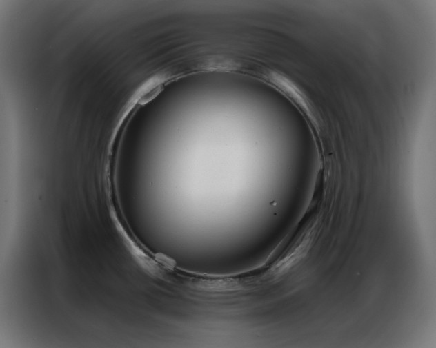 X0000086921434200704161353