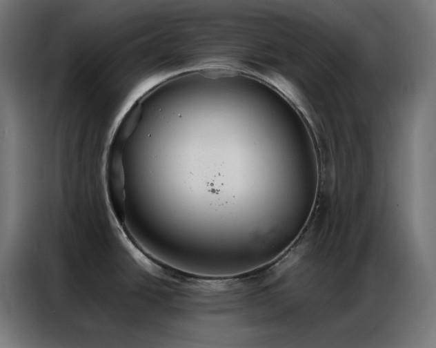 X0000086921438200704161353