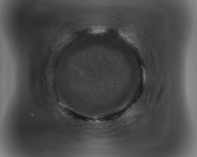 X0000086921441200704161352