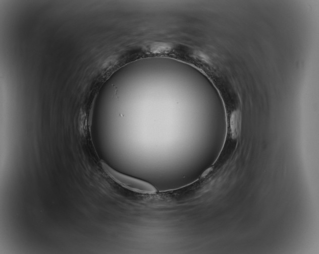 X0000086921443200704161352