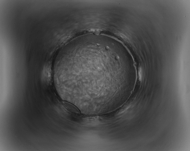 X0000086921444200704161352