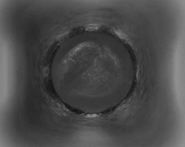 X0000086921445200704161352