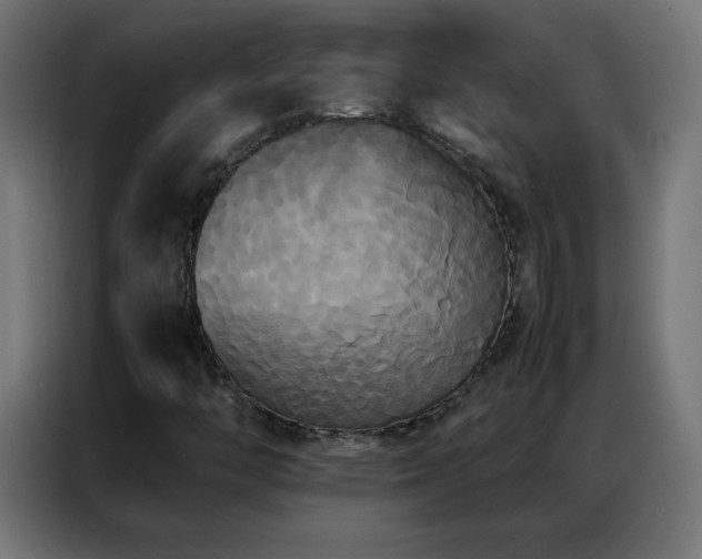 X0000086921446200704161352