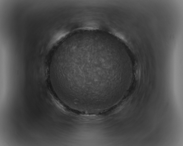 X0000086921448200704161352