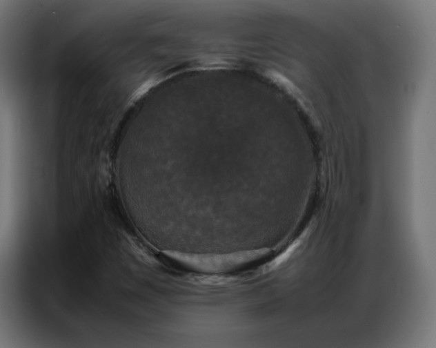 X0000086921449200704161352