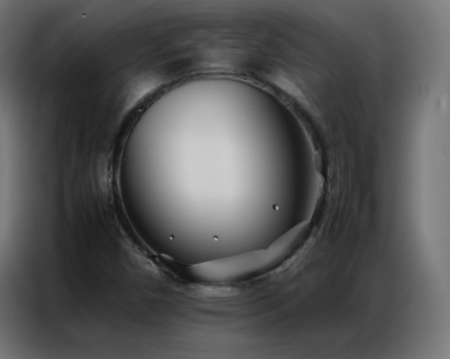 X0000086921450200704161352