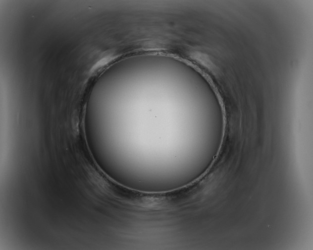 X0000086921451200704161352