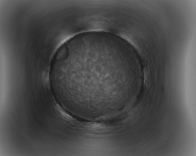 X0000086921452200704161352