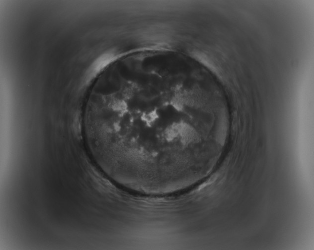 X0000086921455200704161352