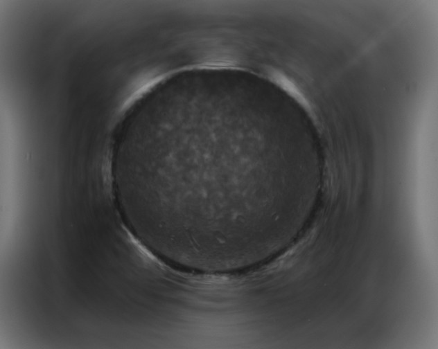 X0000086921456200704161352