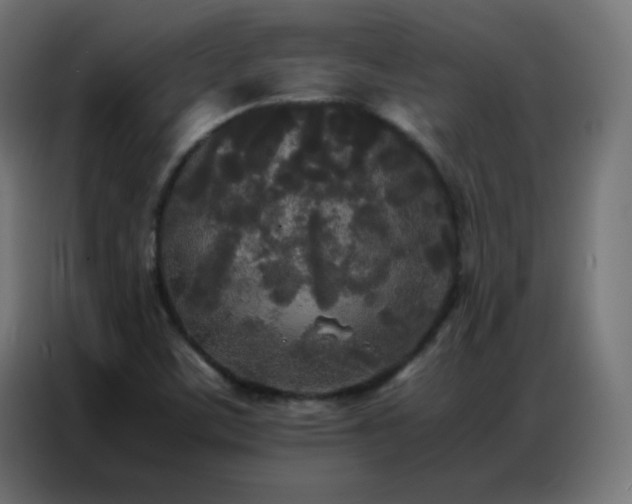 X0000086921459200704161352
