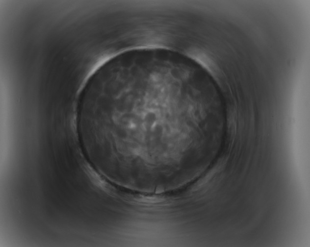 X0000086921460200704161352