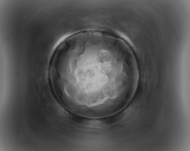 X0000086921463200704161352