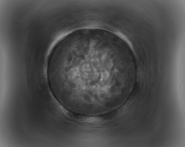 X0000086921464200704161352