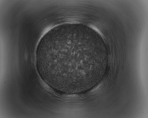 X0000086921467200704161352