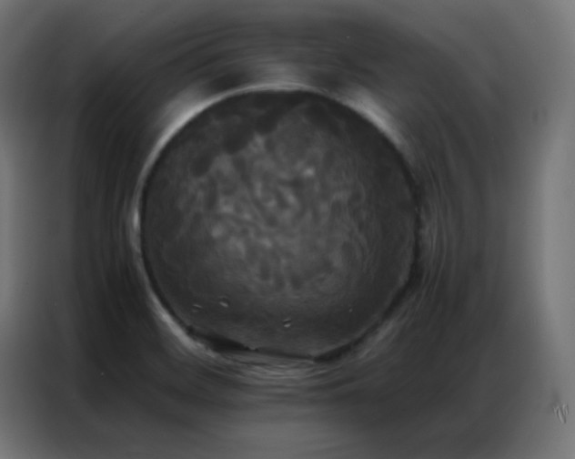 X0000086921468200704161352