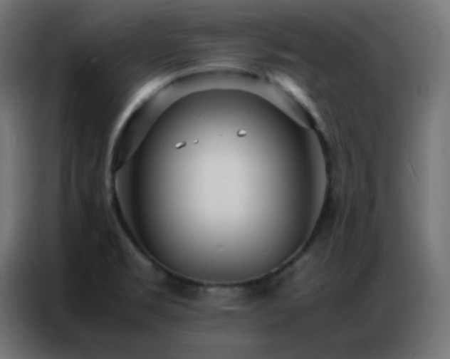 X0000086921469200704161352