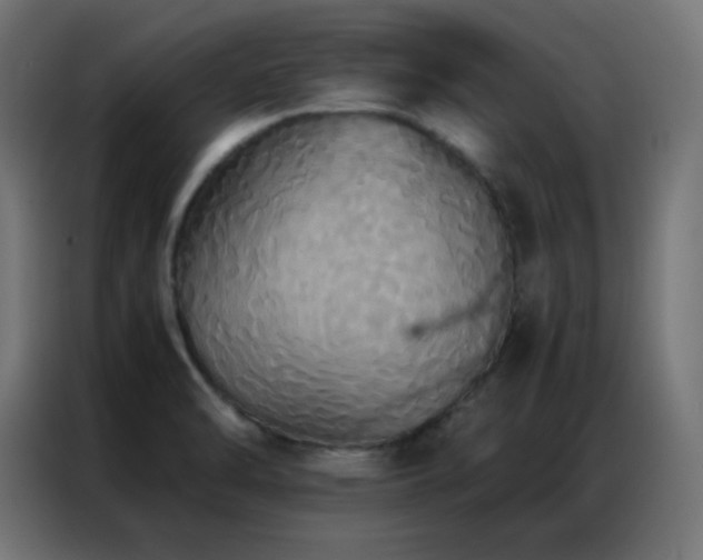 X0000086921470200704161352