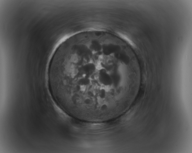 X0000086921471200704161352