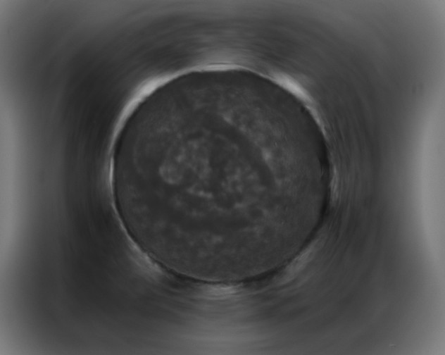 X0000086921472200704161352