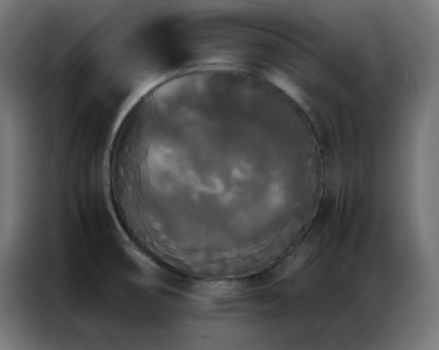 X0000086921474200704161352
