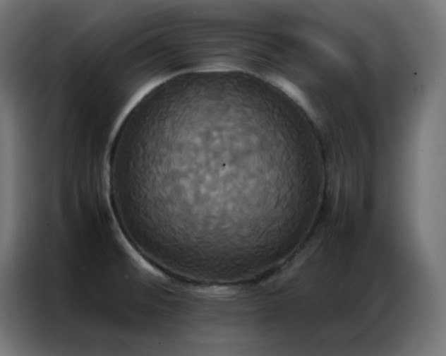X0000086921476200704161352