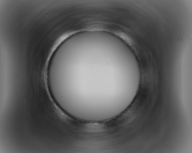 X0000086921478200704161352