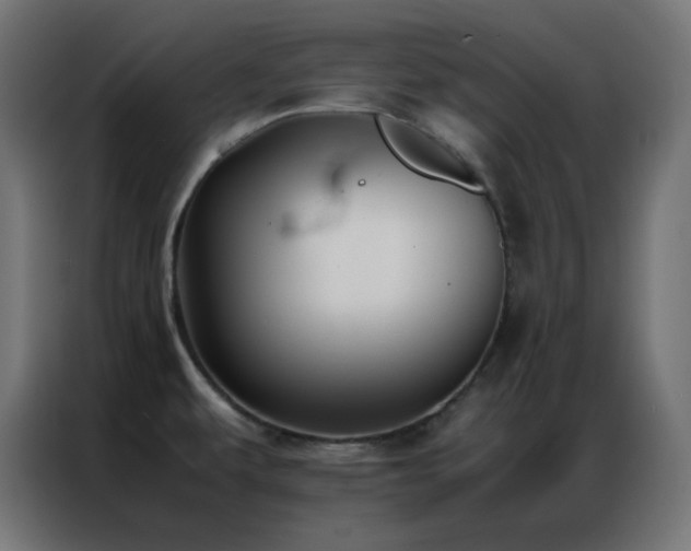 X0000086921479200704161352