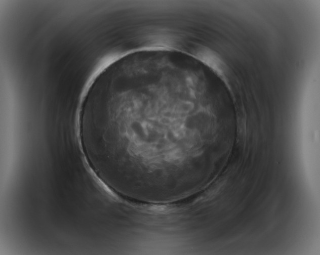 X0000086921480200704161352