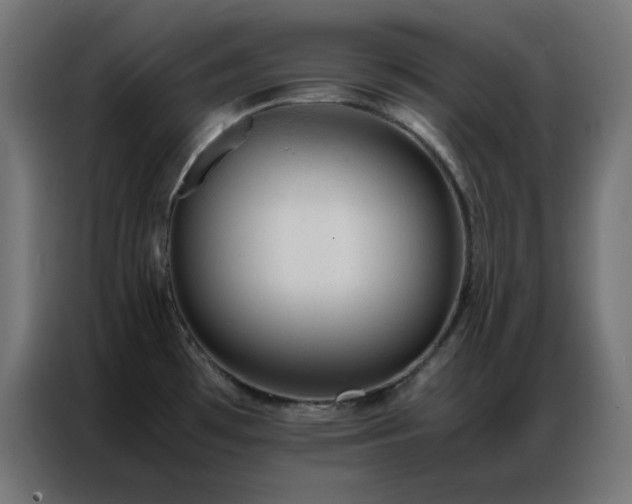 X0000086921481200704161352